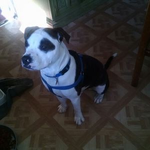 Meet your Posher, Dale